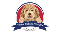 Golden Doodles in Texas image 1