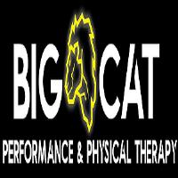 Big Cat Performance & Physical Therapy image 1