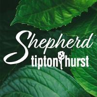 Tipton & Hurst Shepherd image 1