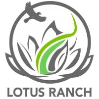 Lotus Ranch image 4