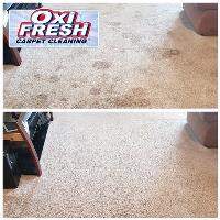 Oxi Fresh Carpet Cleaning image 4