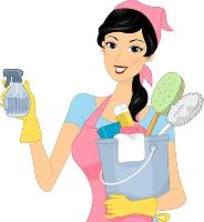 Najera Cleaning Pros image 2