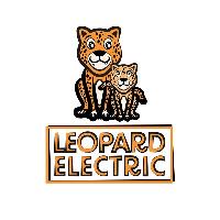 Leopard Electric image 1