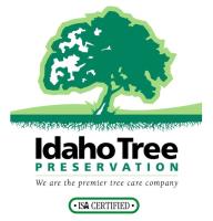 Idaho Tree Preservation image 2