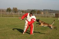 Dog Dynamics Dog Training - Pleasanton image 2
