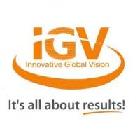 IGV Website Design & Marketing image 1