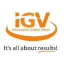 IGV Website Design & Marketing logo