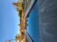 Shelby Pools Design & Construction image 2