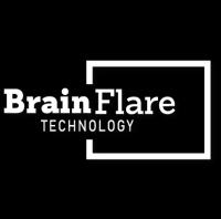Brain Flare Technology image 1