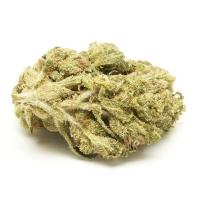  Weed Strains Dispensary image 2