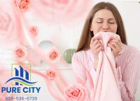 Pure City Air Duct Cleaning Service image 1