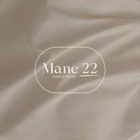 Mane 22 Hair Studio image 1