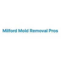 Milford Mold Removal Pros image 1