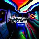Birmingham Limos logo
