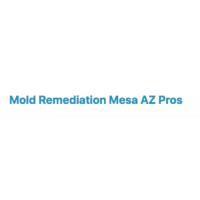 Mold Remediation Mesa AZ Pros image 1
