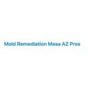 Mold Remediation Mesa AZ Pros logo