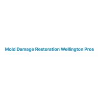 Mold Damage Restoration Wellington Pros image 1