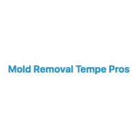 Mold Removal Tempe Pros image 1