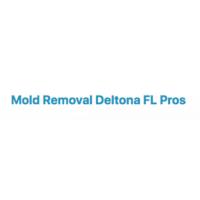 Mold Removal Deltona FL Pros image 1