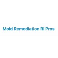 Mold Remediation RI Pros image 1