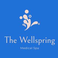 The Wellspring Medical Spa image 1