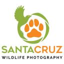 Santa Cruz Wildlife Photography logo