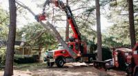 Marshalls Tree Service & Firewood, Inc. image 13