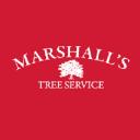 Marshalls Tree Service & Firewood, Inc. logo