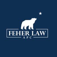 Feher Law - Torrance Personal Injury Lawyers image 1