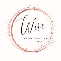 Wise Flow Service Team image 1