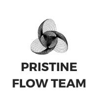 Pristine Flow Team image 1