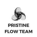 Pristine Flow Team logo