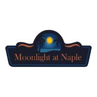 Moonlight At Naple image 1