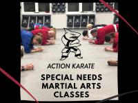 Action Karate Lebanon image 2
