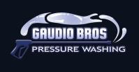 Gaudio Brothers Pressure Washing image 1