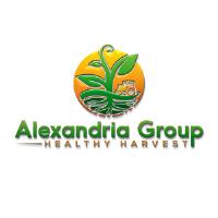 Alexandria Group Inc. image 1