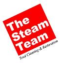 The Steam Team logo