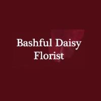 Bashful Daisy Florist image 4