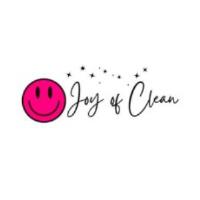The Joy Of Clean image 1