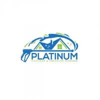 Platinum Coatings & Pressure Washing image 1