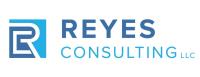 Reyes Consulting LLC image 6