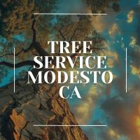 Tree Service Modesto CA image 1