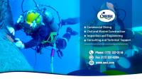 Underwater Engineering Services Inc image 2