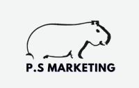 Paul Silva Marketing - Los Angeles SEO image 1