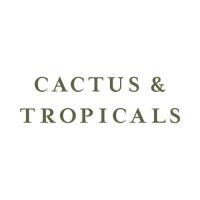 Cactus & Tropicals image 1