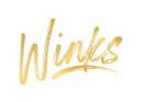 Winks Photo Booth logo