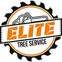 Elite Tree Service LLC image 1