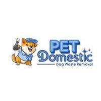 Pet Domestic image 1