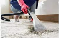 Peter's Carpet Cleaning Experts image 1