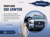 FrizWoods LLC - Criminal Defense Law Firm image 4
